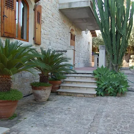 Apartment Casa -
