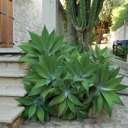 Apartamento Casa - Marina di Modica