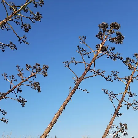 Apartamento Casa - Marina di Modica